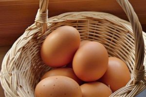 Come sostituire 1 uovo nelle ricette? La guida per cucinare senza uova